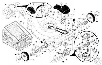 196857 belt online