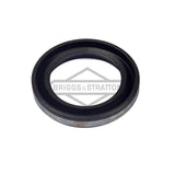 Briggs & Stratton 690950 Briggs & Stratton