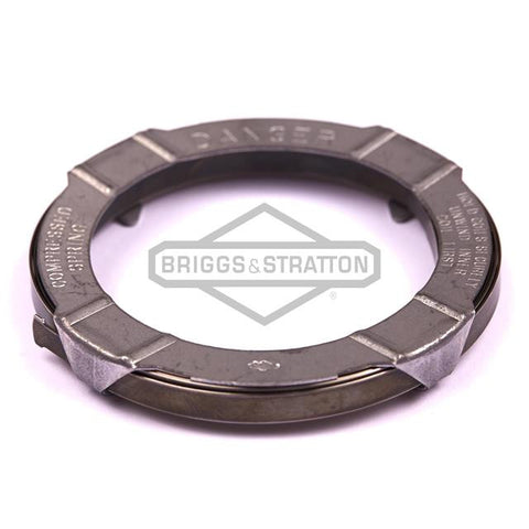 Briggs & Stratton 295871 Briggs & Stratton