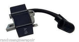 IGNITION MODULE COIL HOMELITE 300953001, ps06156 FITS +