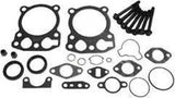 overhaul gasket kit w/seals kohler ch13pt ch14s cv11s