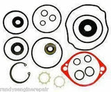 70525 Hydro Gear fits all BDP-10 Pump Overhaul Seals / Gaskets Kit Ariens 592036