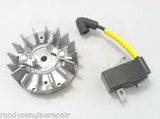 Husqvarna MODULE FLYWHEEL KIT part # 537380901