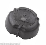 FUEL GAS CAP BRIGGS AND STRATTON QUANTUM MAX INTEK 397974 699985 692046