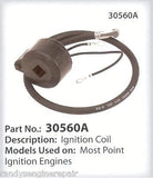 OEM Ignition Module Coil Tecumseh, Sears, Craftsman # 30560A 30546 H30 H50 H60
