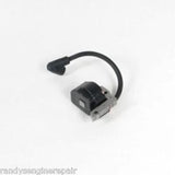 Briggs & Stratton 699875 Armature Magneto Craftsman, Sears fits many 021302