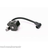 Weed Eater Genuine Replacement Ignition Module 530039163